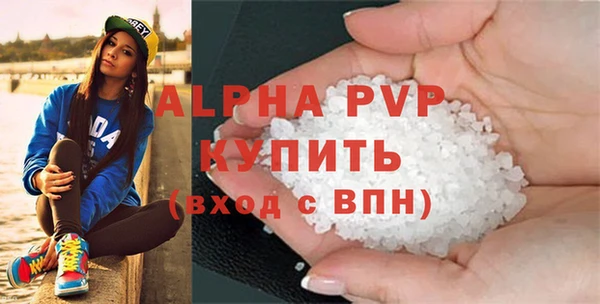 индика Бронницы